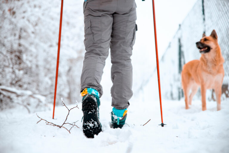 Image de :Comment bien choisir ses bottes d’hiver?